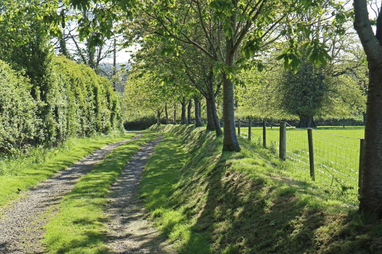 Lovaton Farmhouse Okehampton Exterior foto